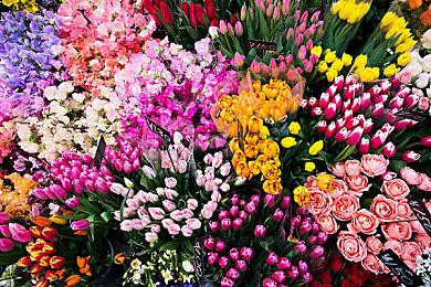 《巨击大乱斗》正式发售 Steam国区定价178元支持中文