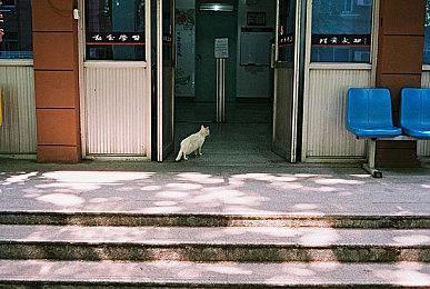 《死亡空间重制版》Steam同时游戏玩家数超过2.5万